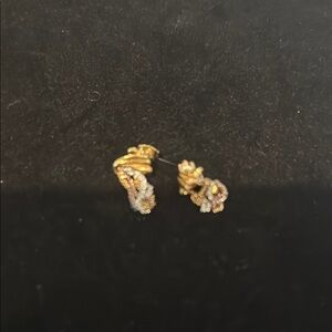 Elegant Gold and Silver Women's Earrings